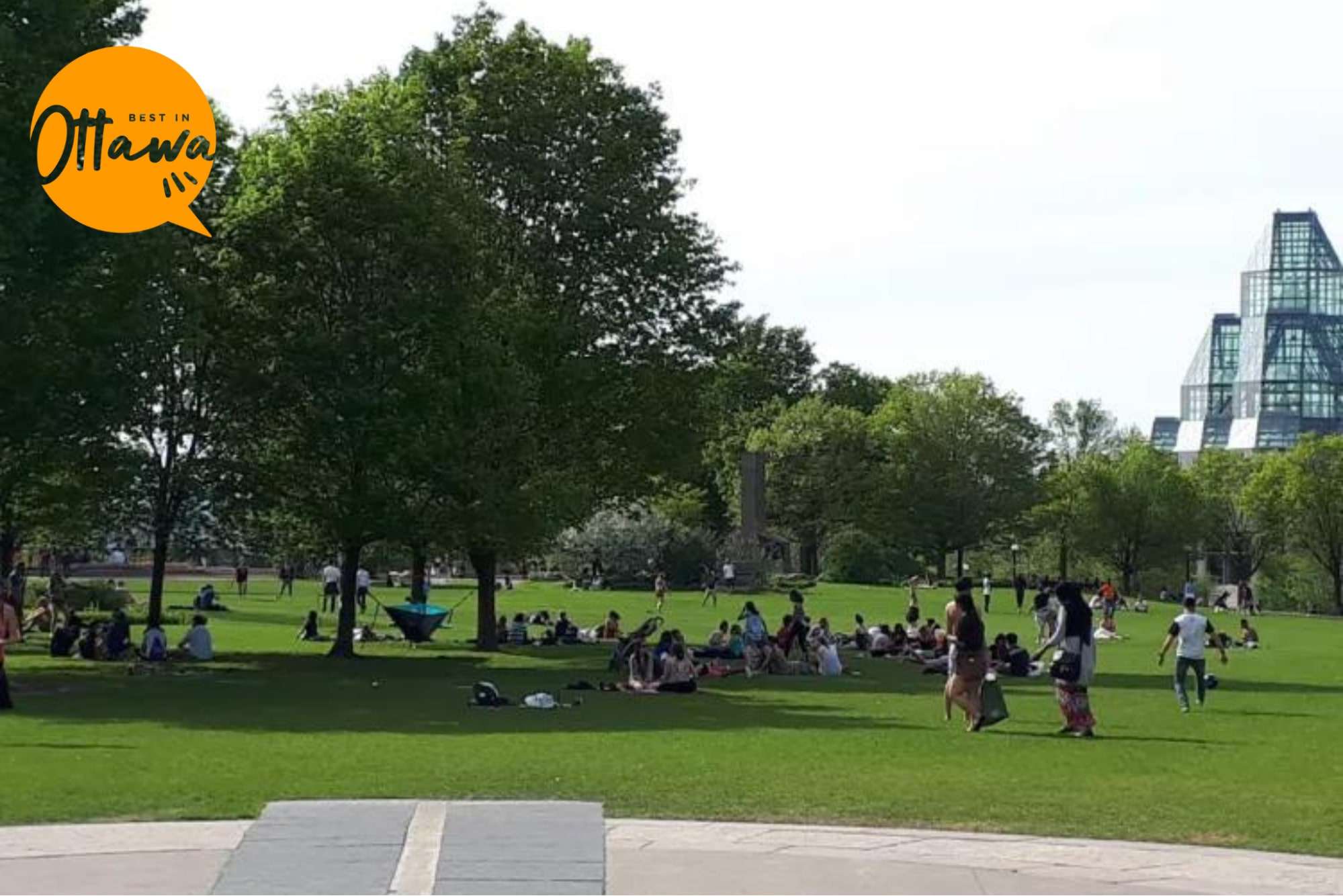 The Top 7 Things You Can Do for an Unforgettable Major’s Hill Park Experience