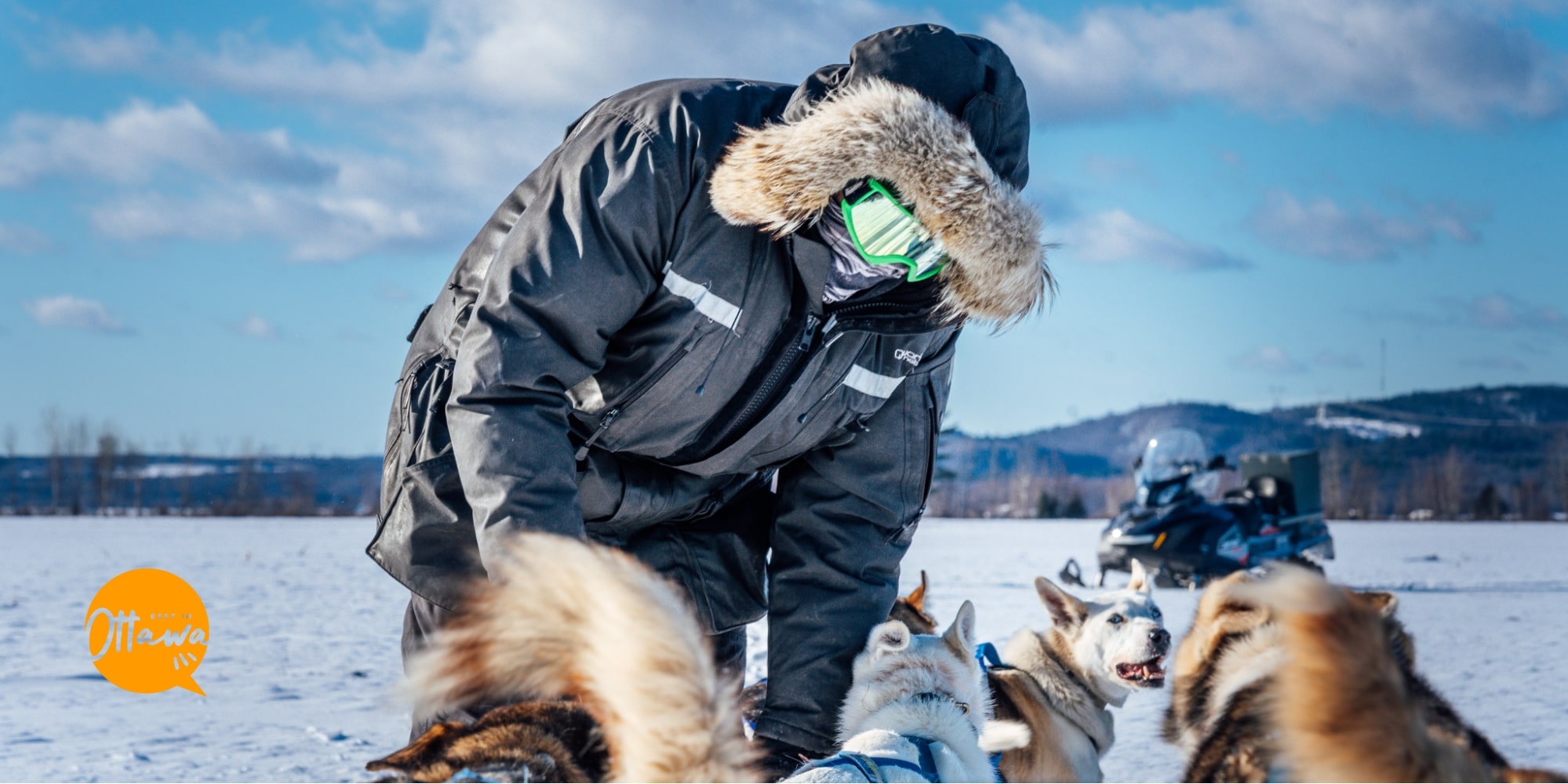 5 Reasons Why You Should Go Dog Sledding in Ottawa