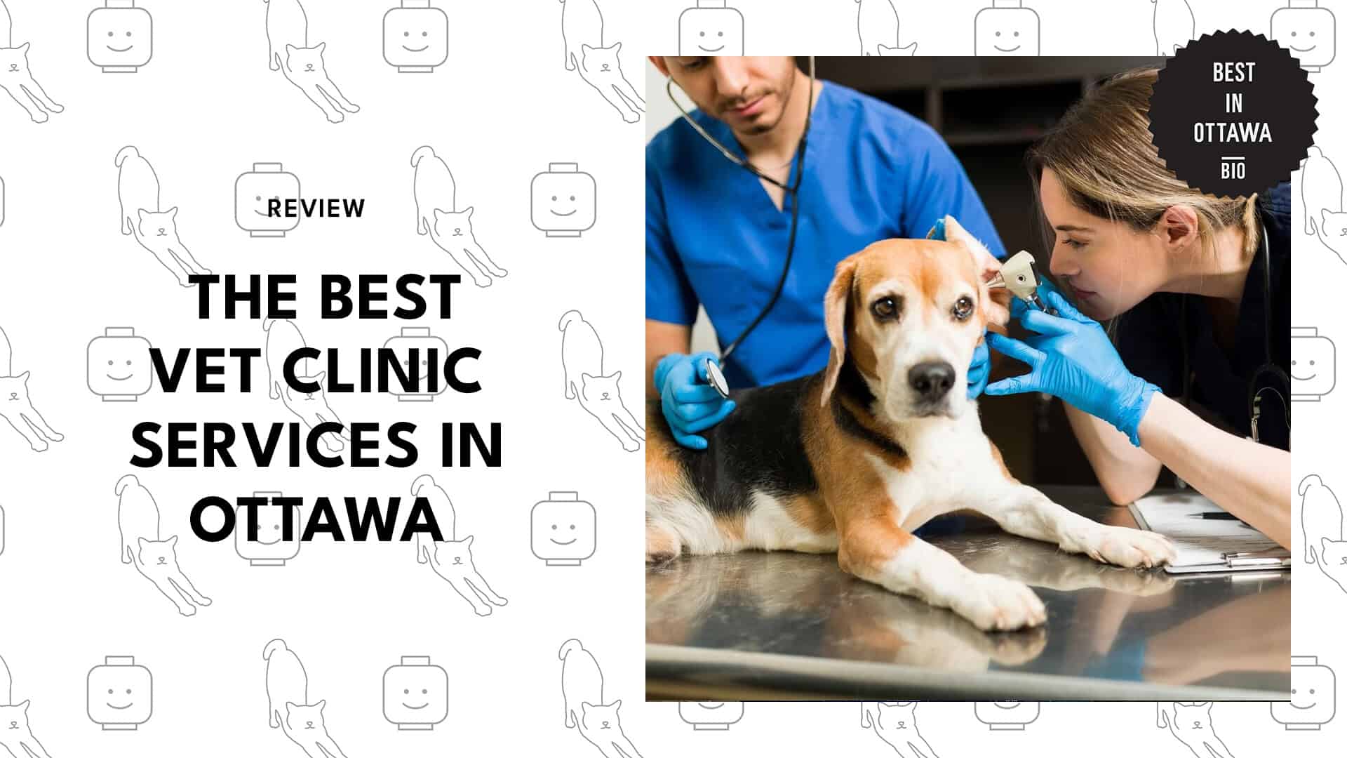 Best Vet Clinic