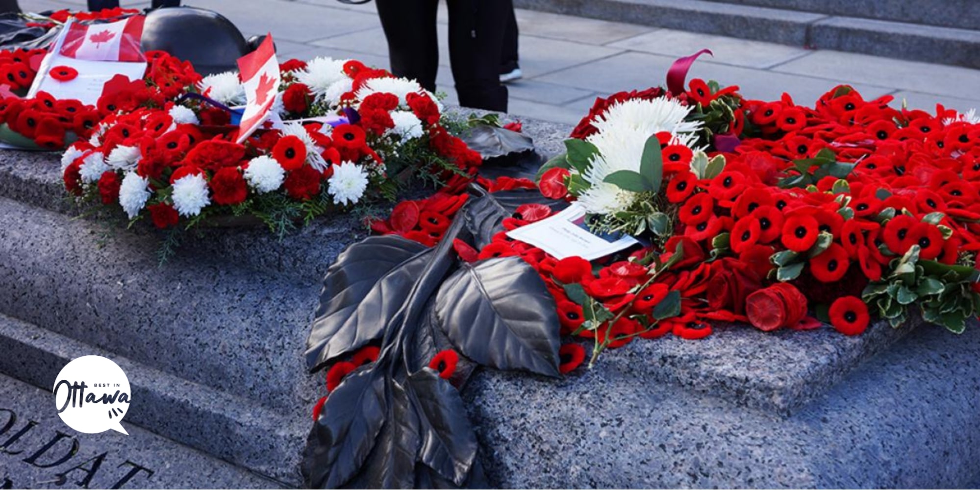 Celebrate the National Remembrance Day Ceremony at the National War Memorial in Ottawa