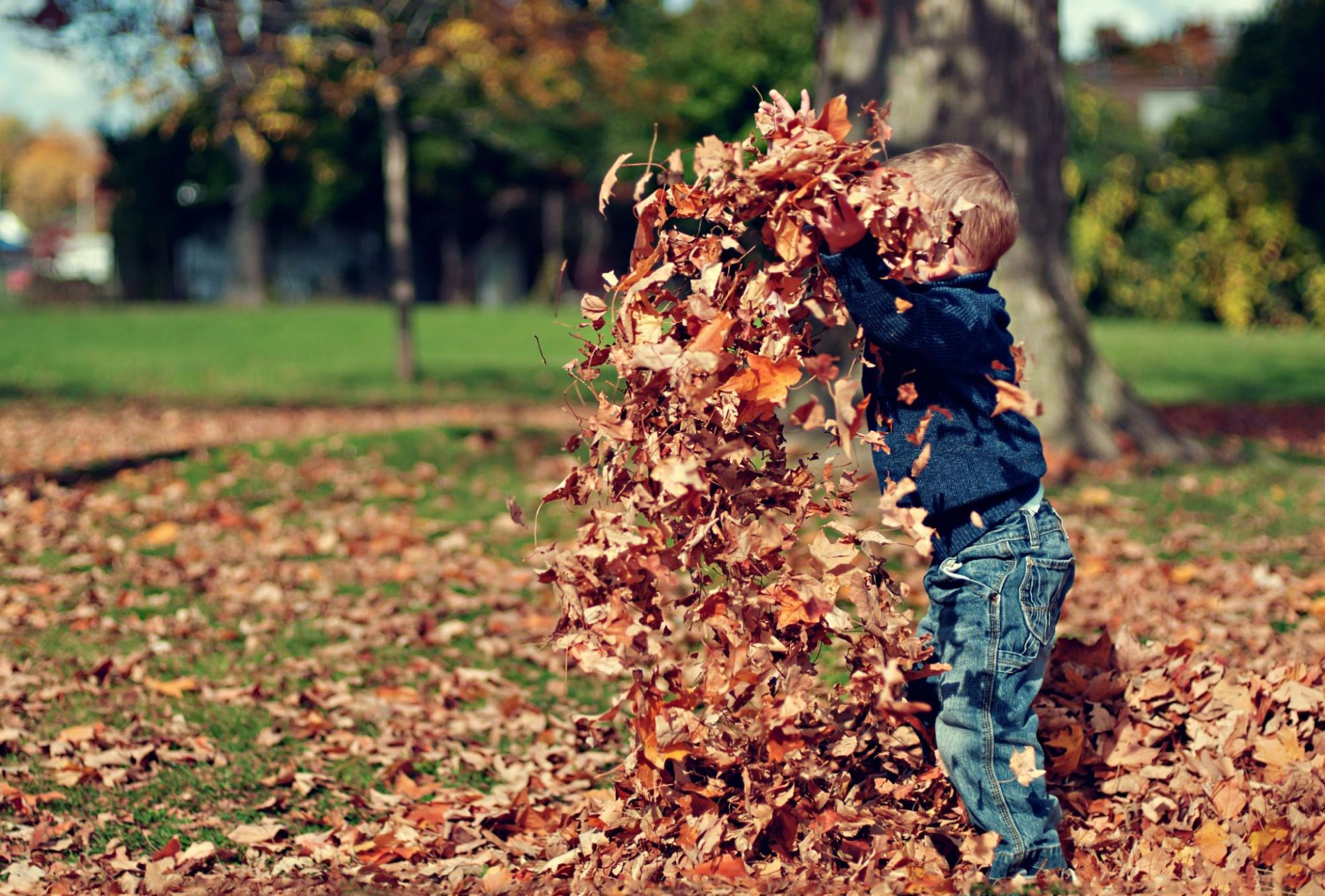 Your Ultimate Guide to Fun Adventures in the Ottawa Region This October 2023