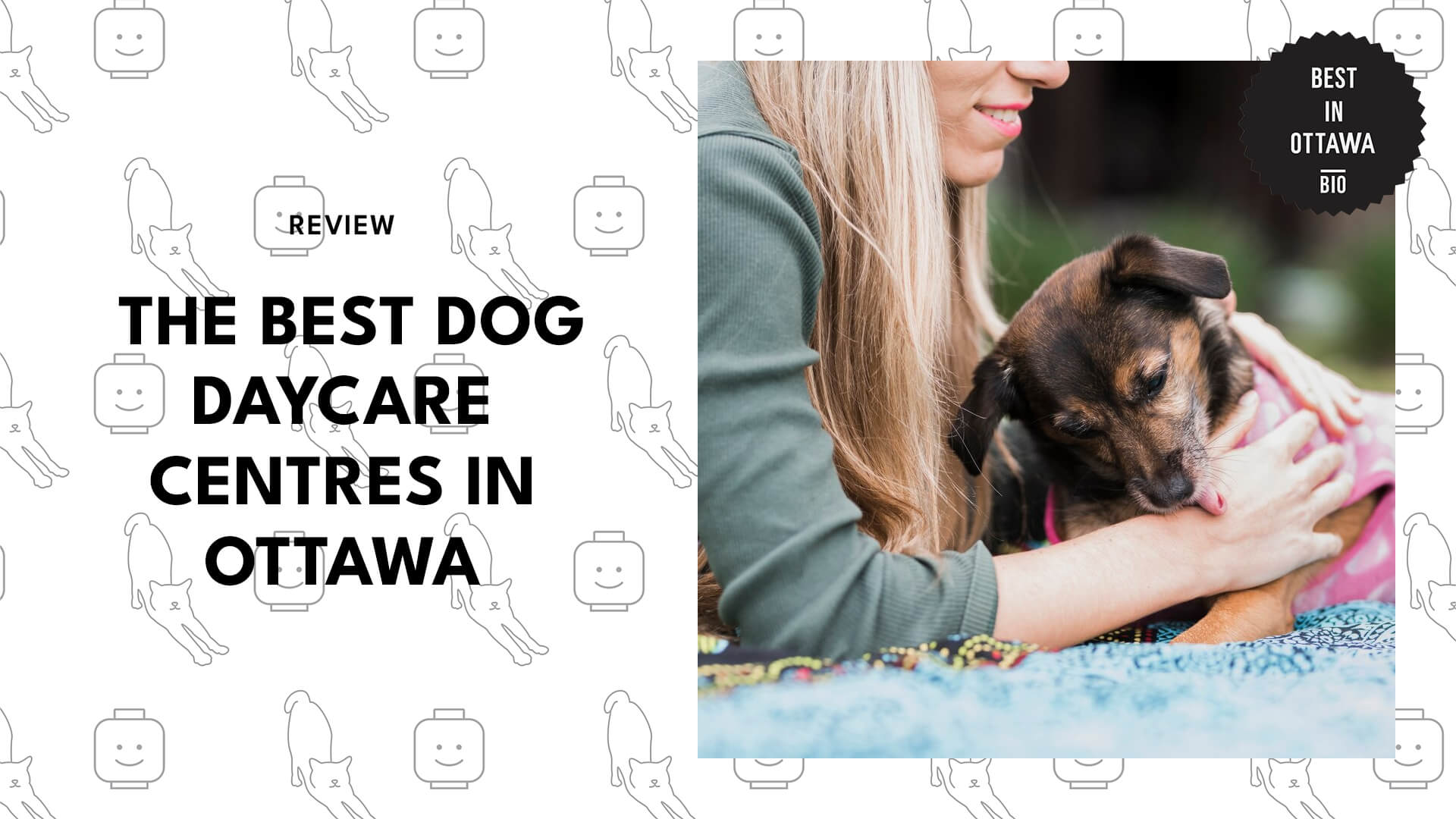 Best Dog Daycare Centres