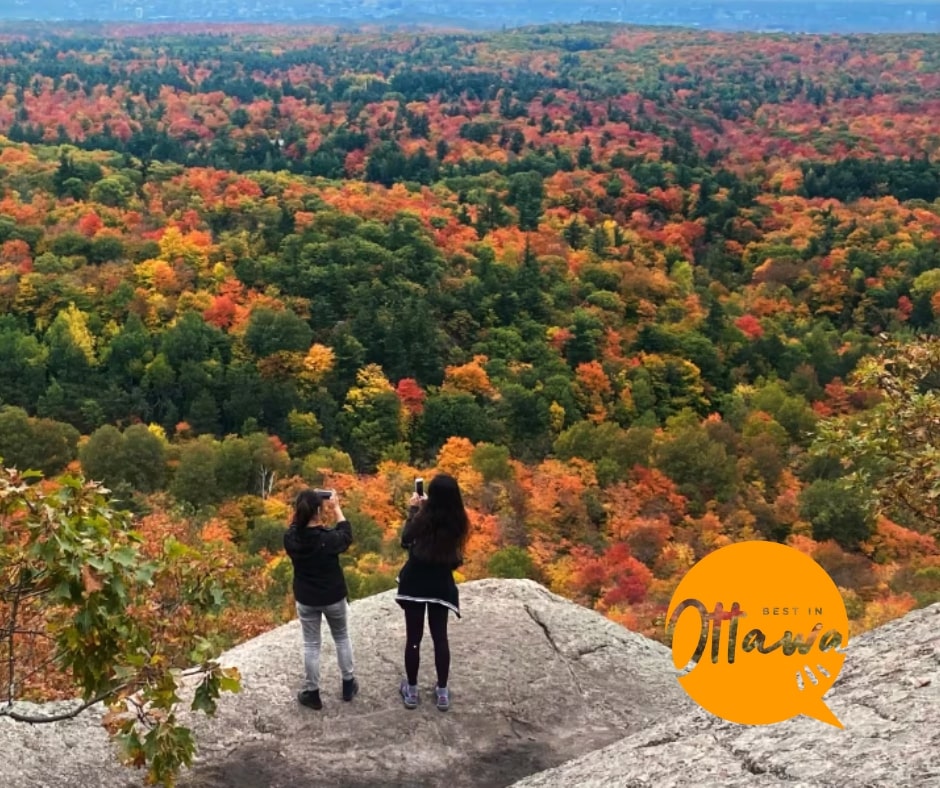 Ottawa for Young Adults The Best Leisure Activities in the City