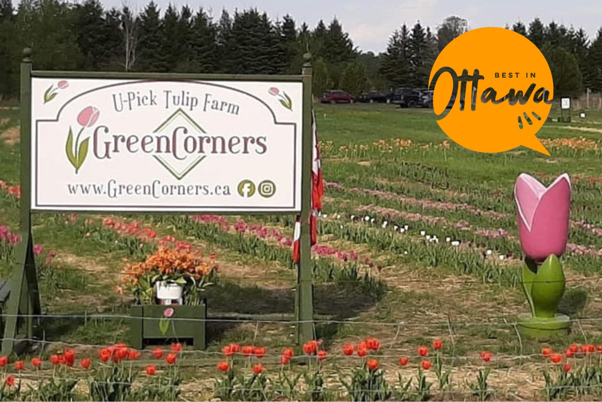 A Quick Tourist’s Guide to Ottawa’s Green Corners Farm