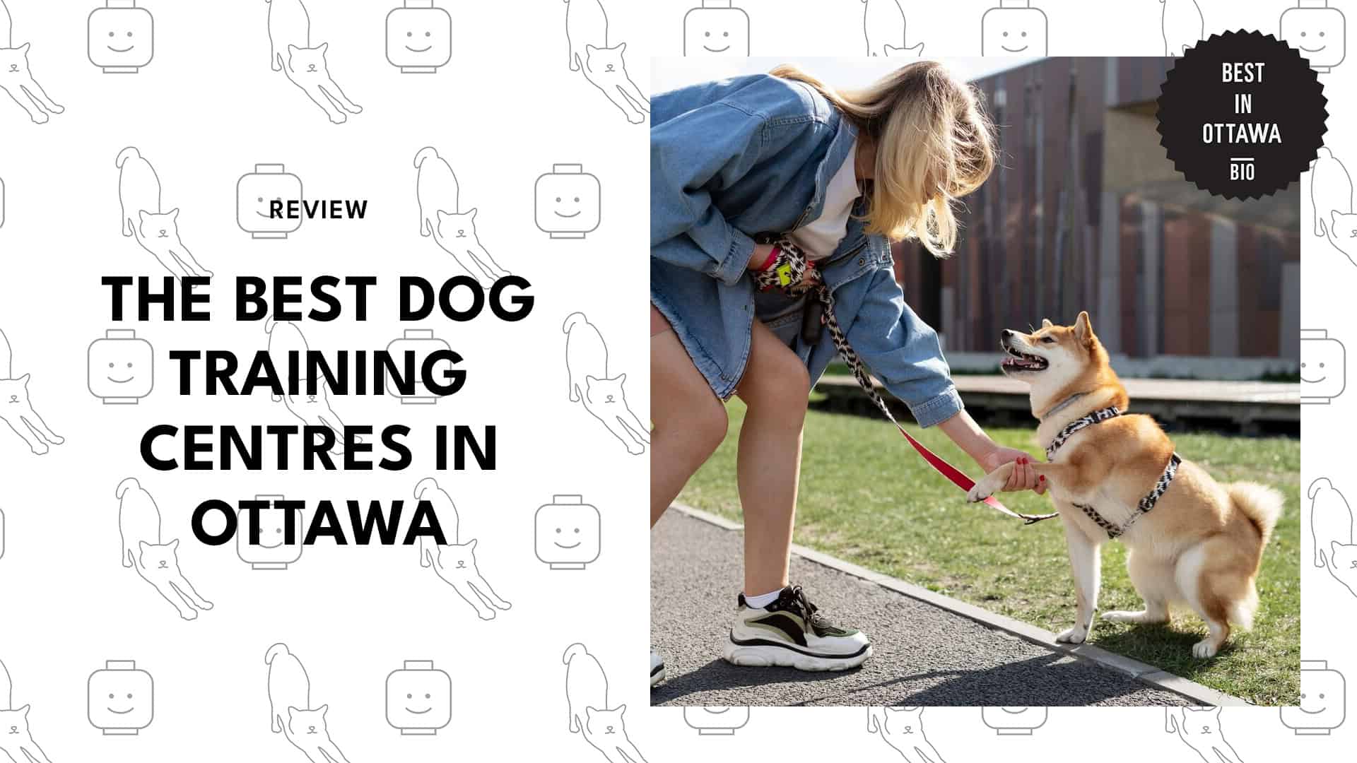Best Dog Training Centres