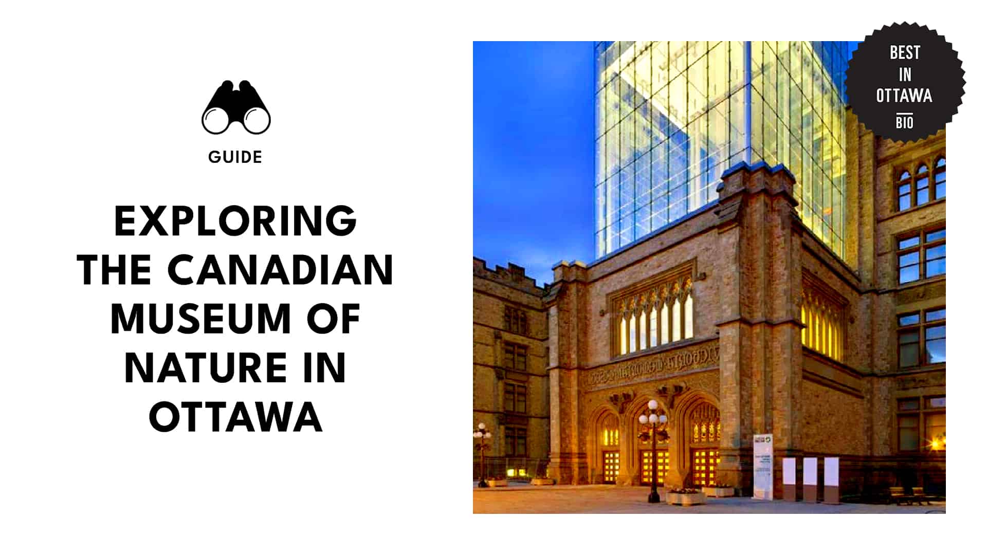 A Comprehensive Guide to the Canadian Museum of Nature in Ottawa