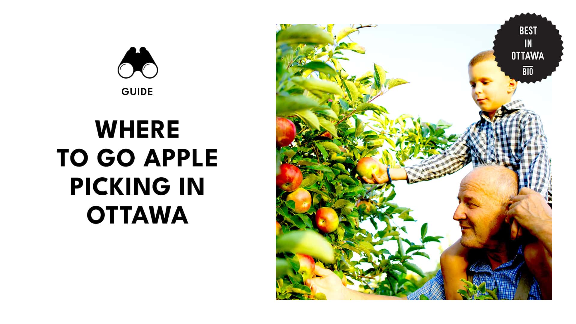 The 10 Best Apple Picking Spots in Ottawa