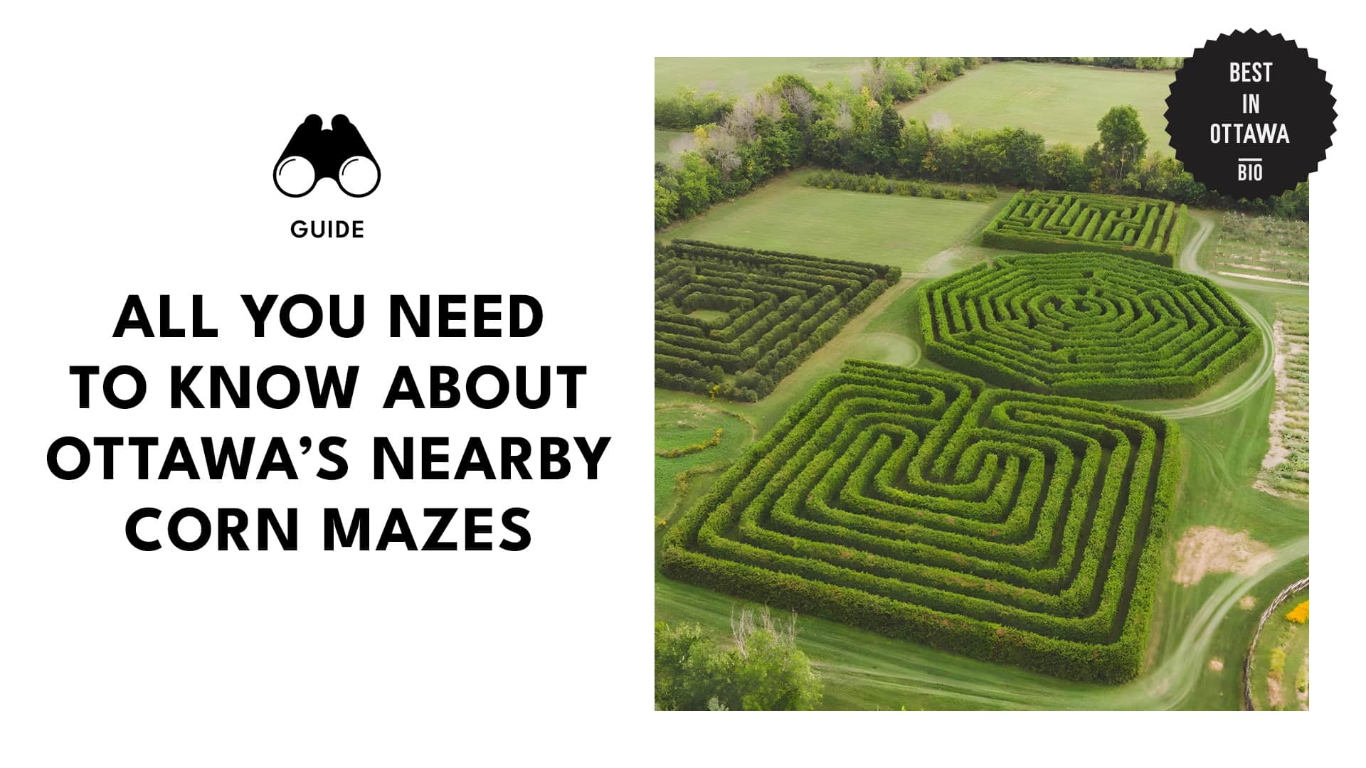 9 Exciting Corn Mazes You Need To Try Near Ottawa