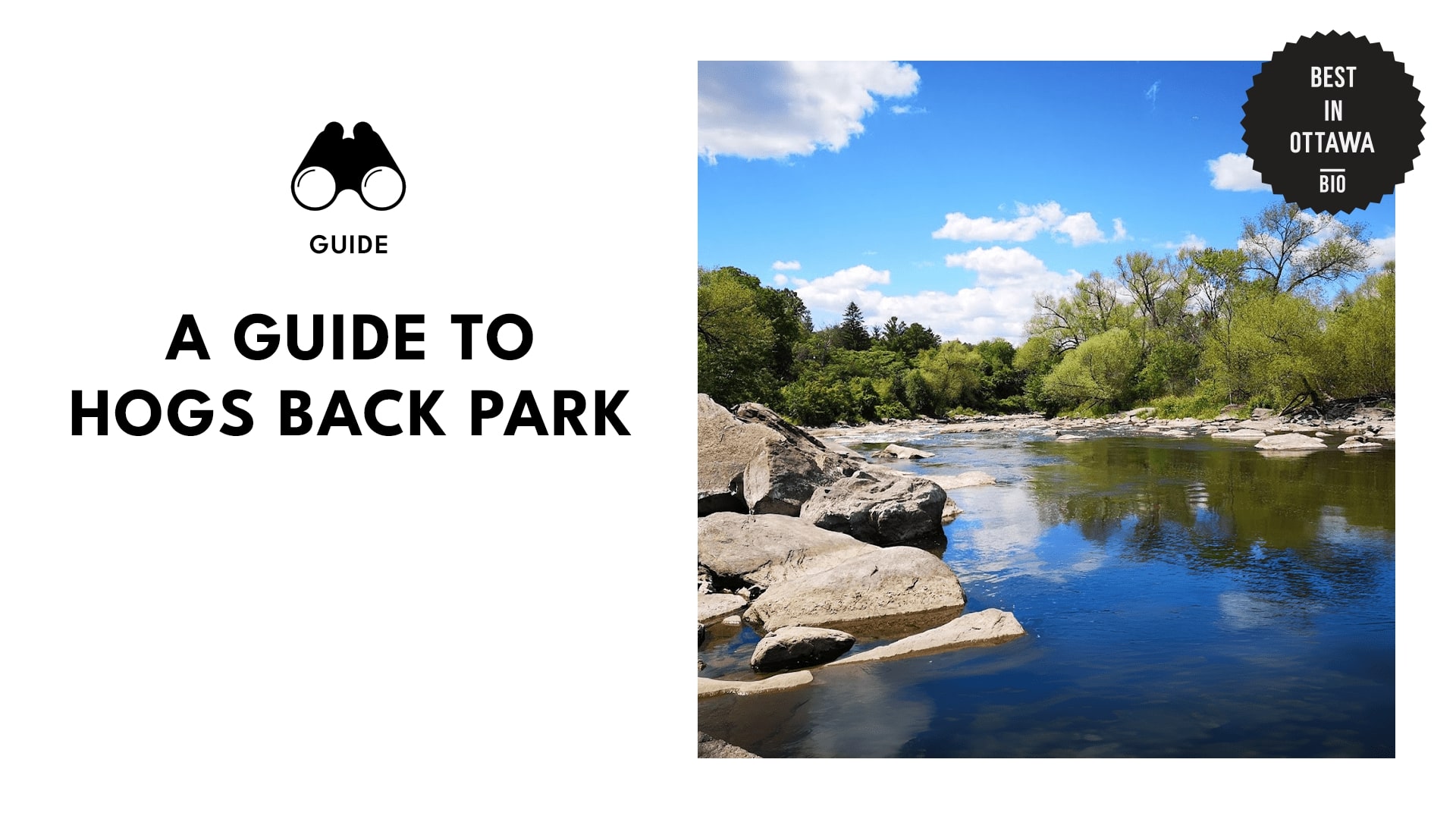 Exploring Hog’s Back Park