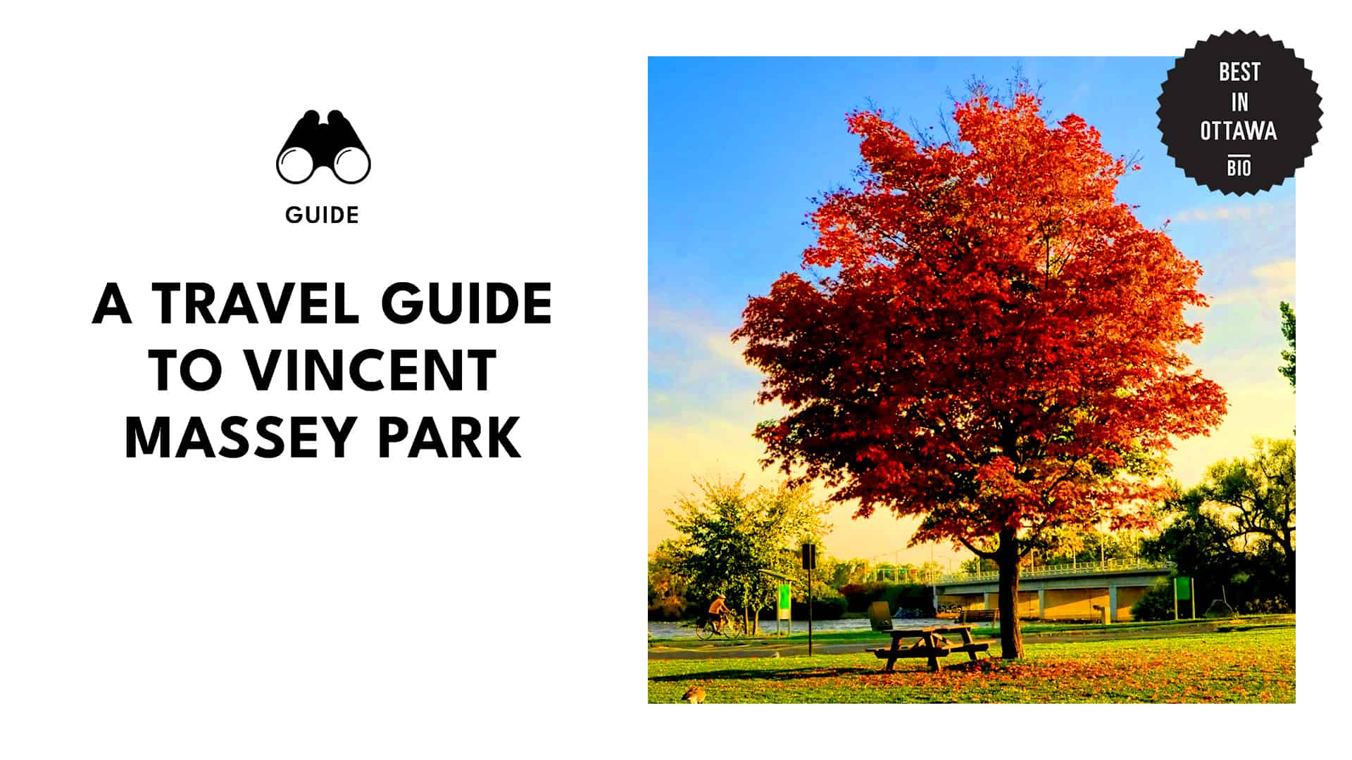 How to Best Navigate Vincent Massey Park in Ottawa