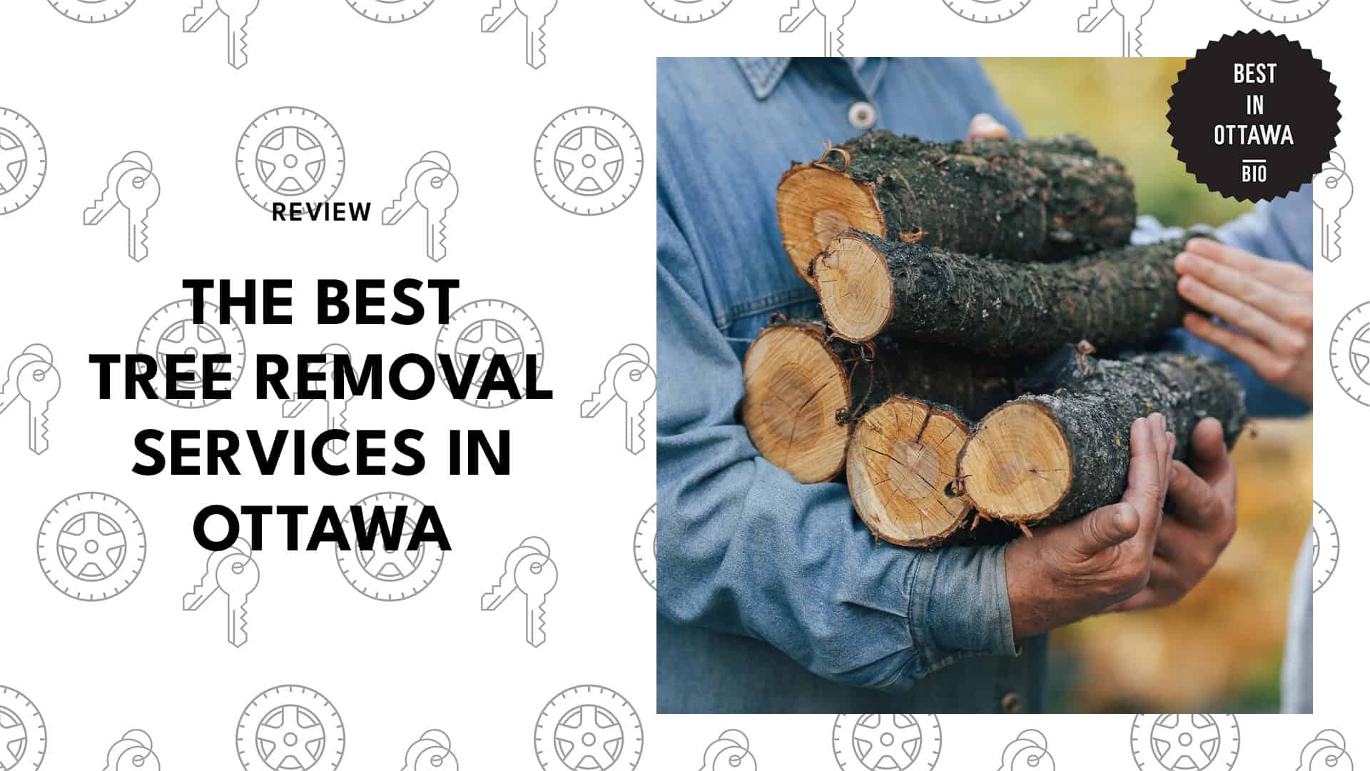 Best Tree Removal