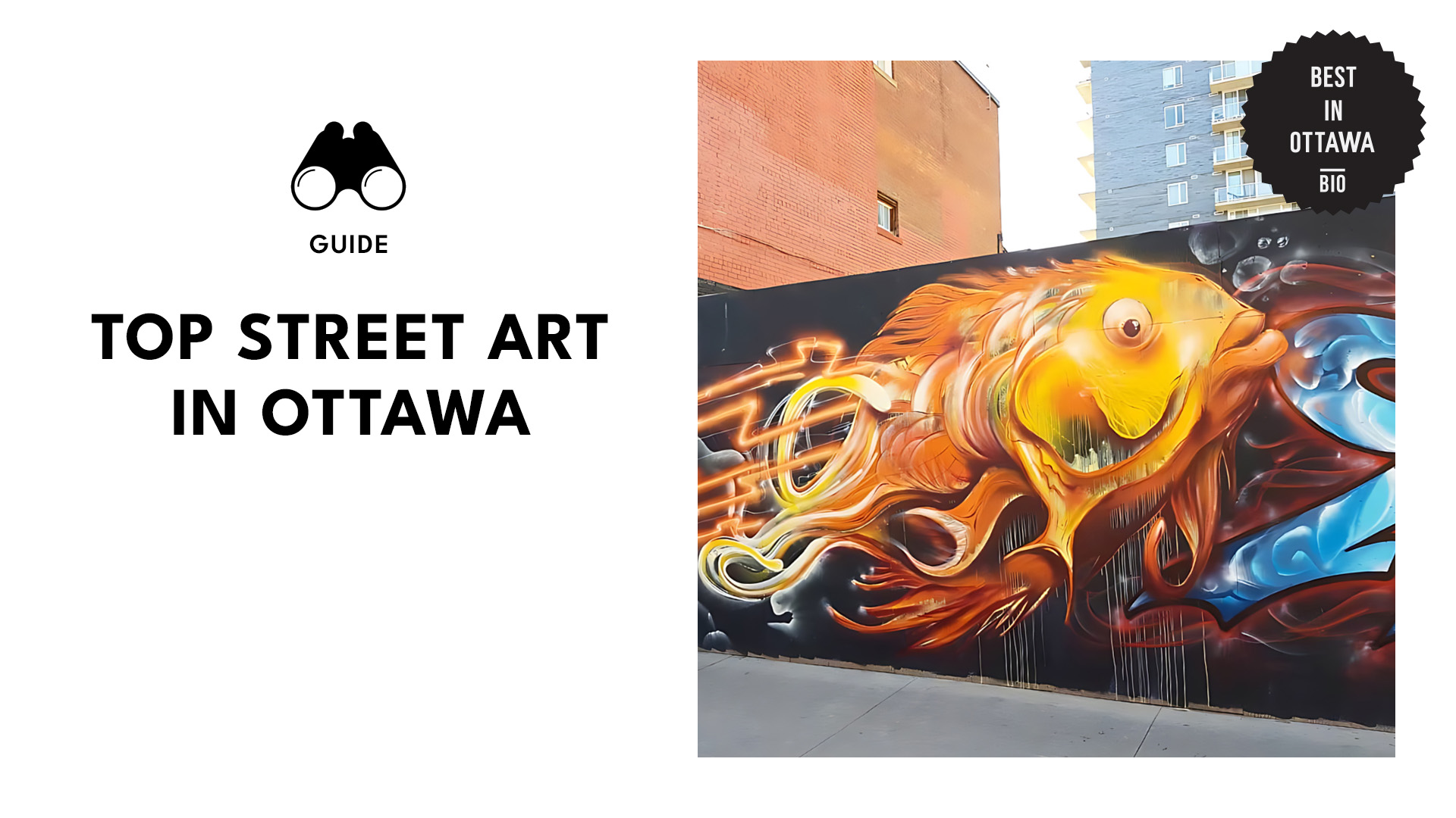 best-street-art-banner