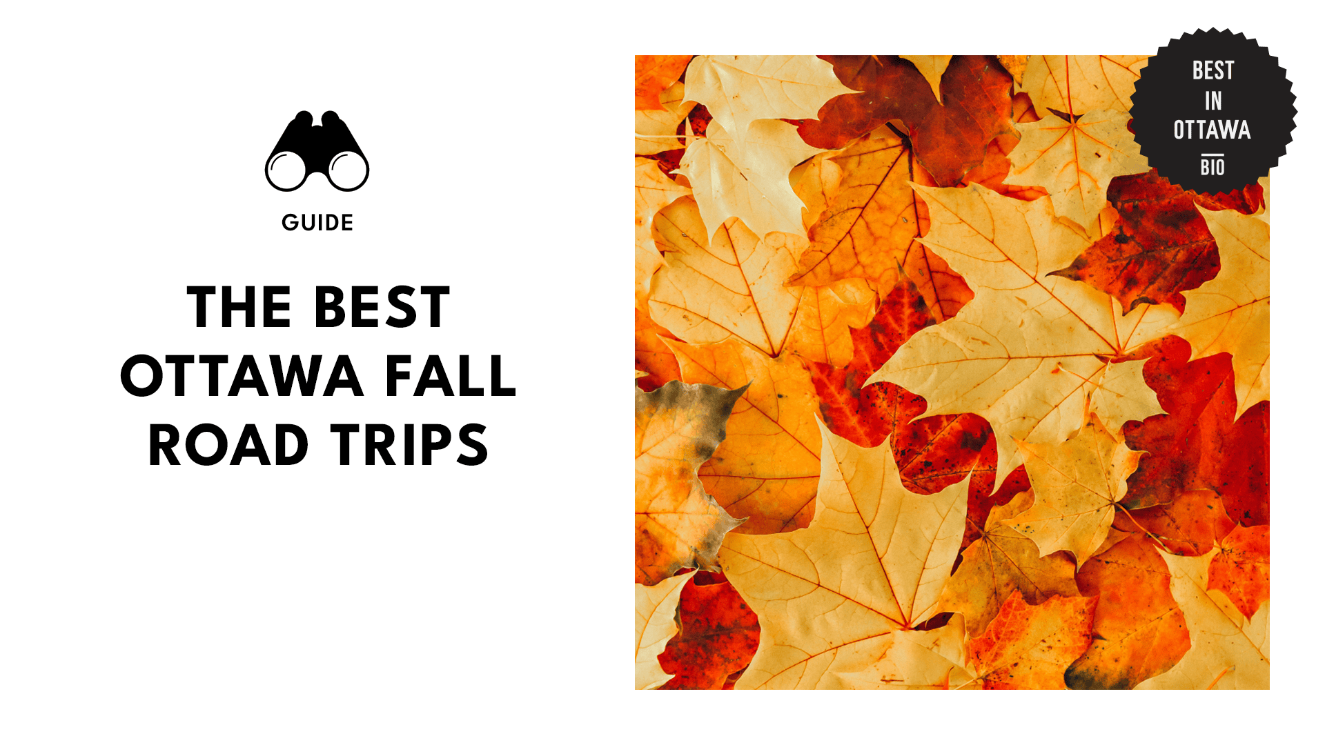 top-ottawa-fall-road-trips