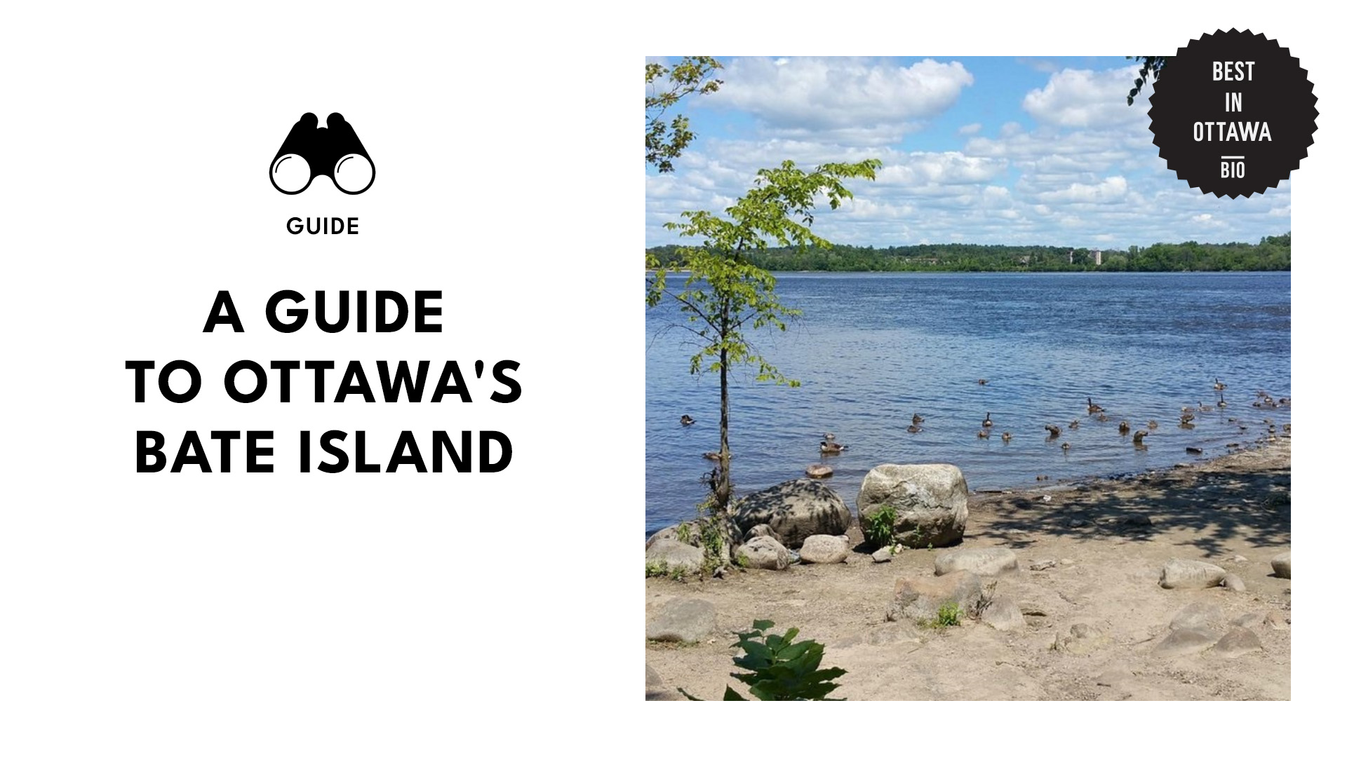 bate-island-ottawa-banner