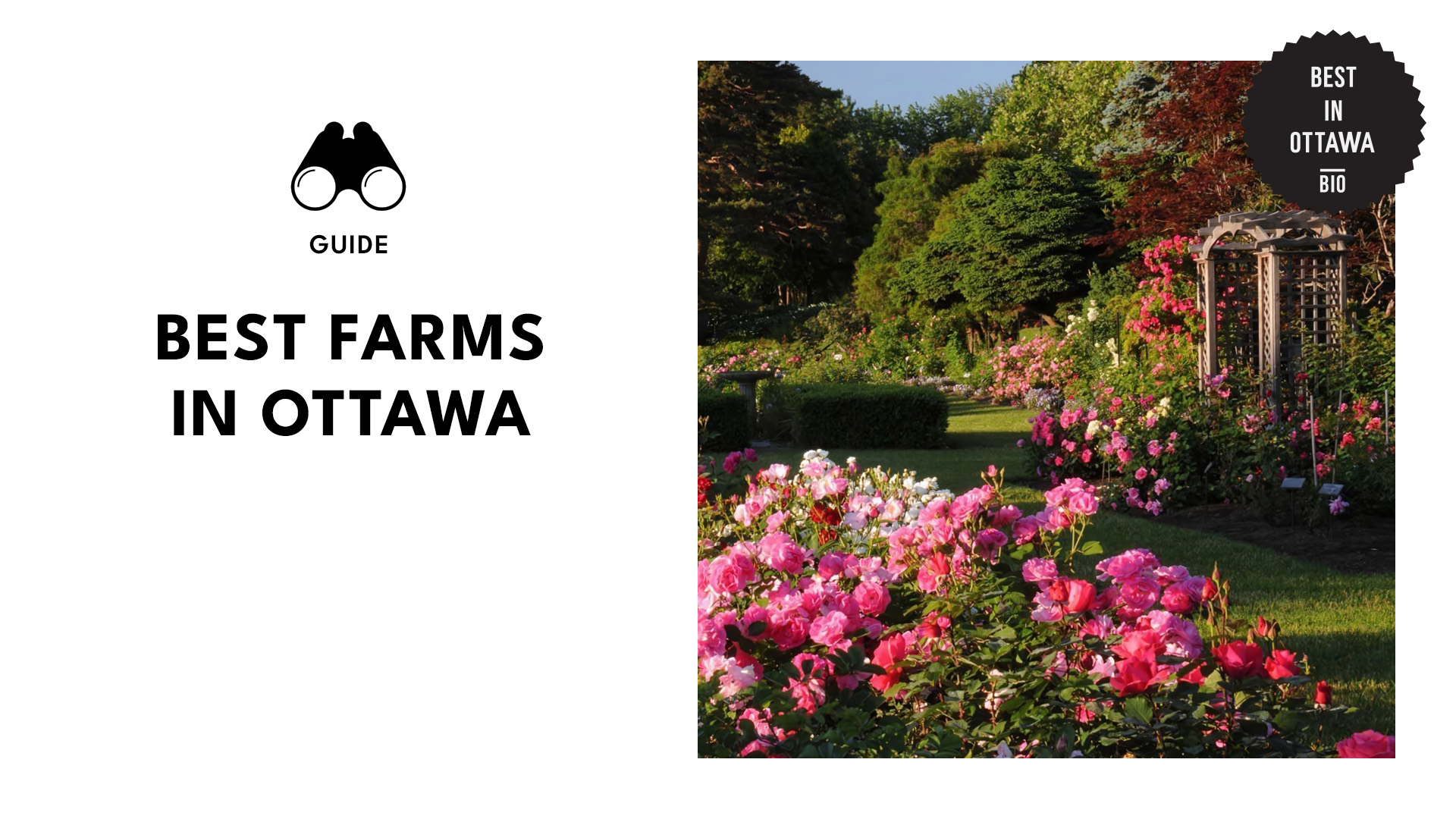 best-farms-ottawa-banner