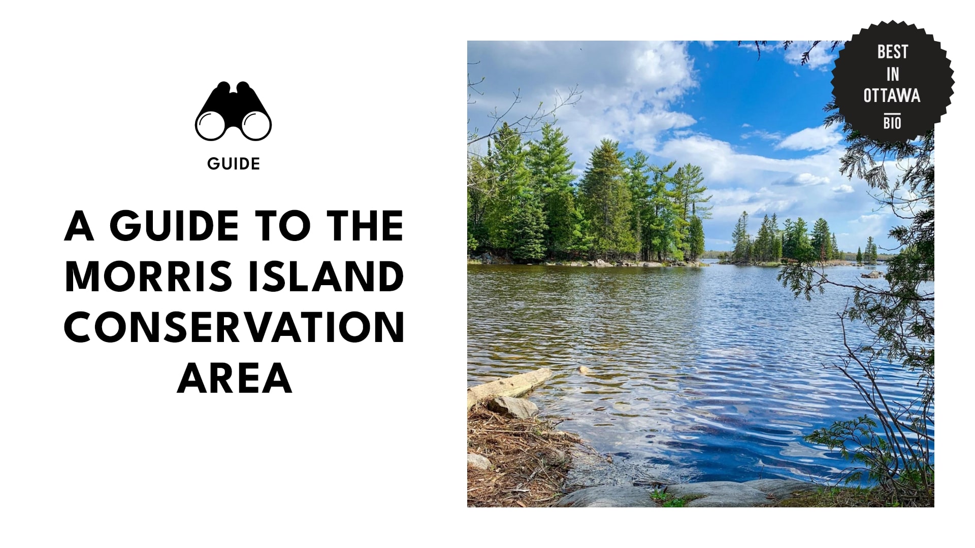 morris-island-conservation-area-featured-banner