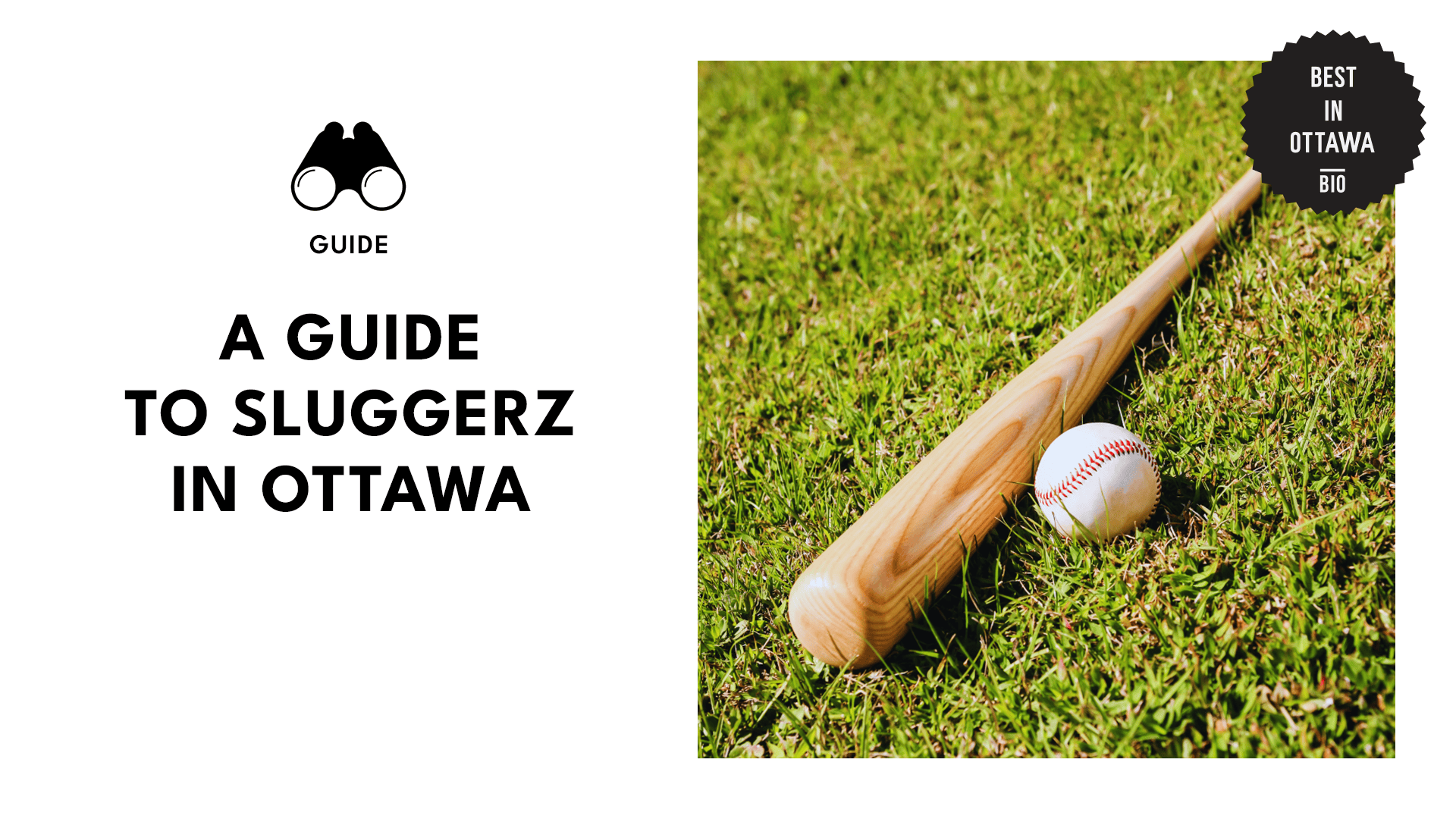 sluggerz-ottawa-banner