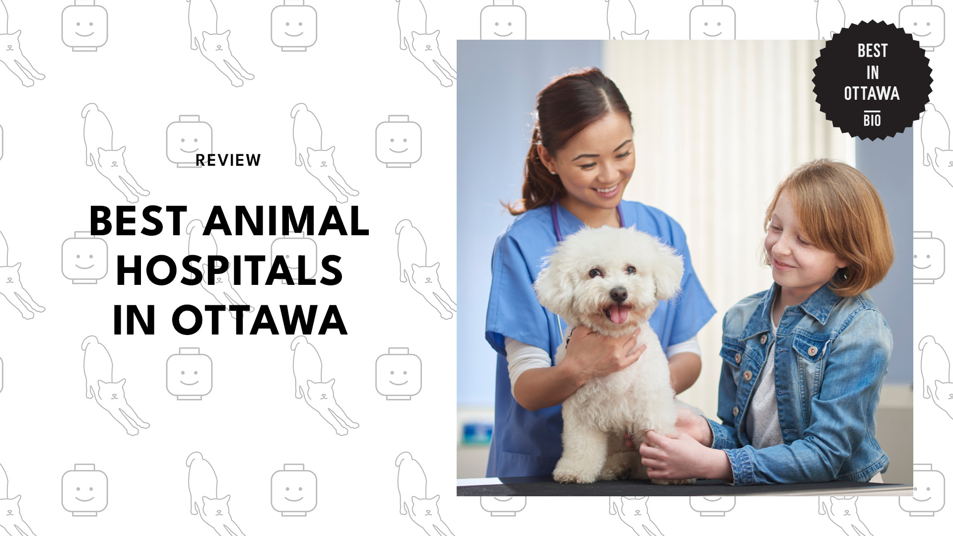 best-animal-hospitals-ottawa-banner
