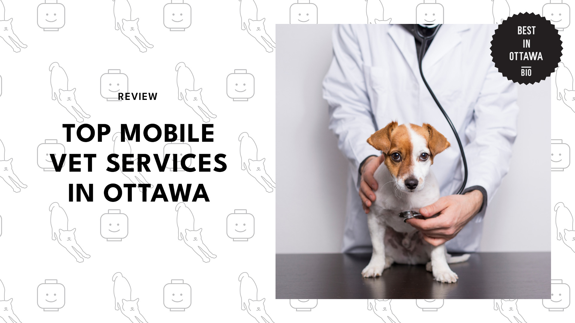 best-mobile-vet-ottawa-banner