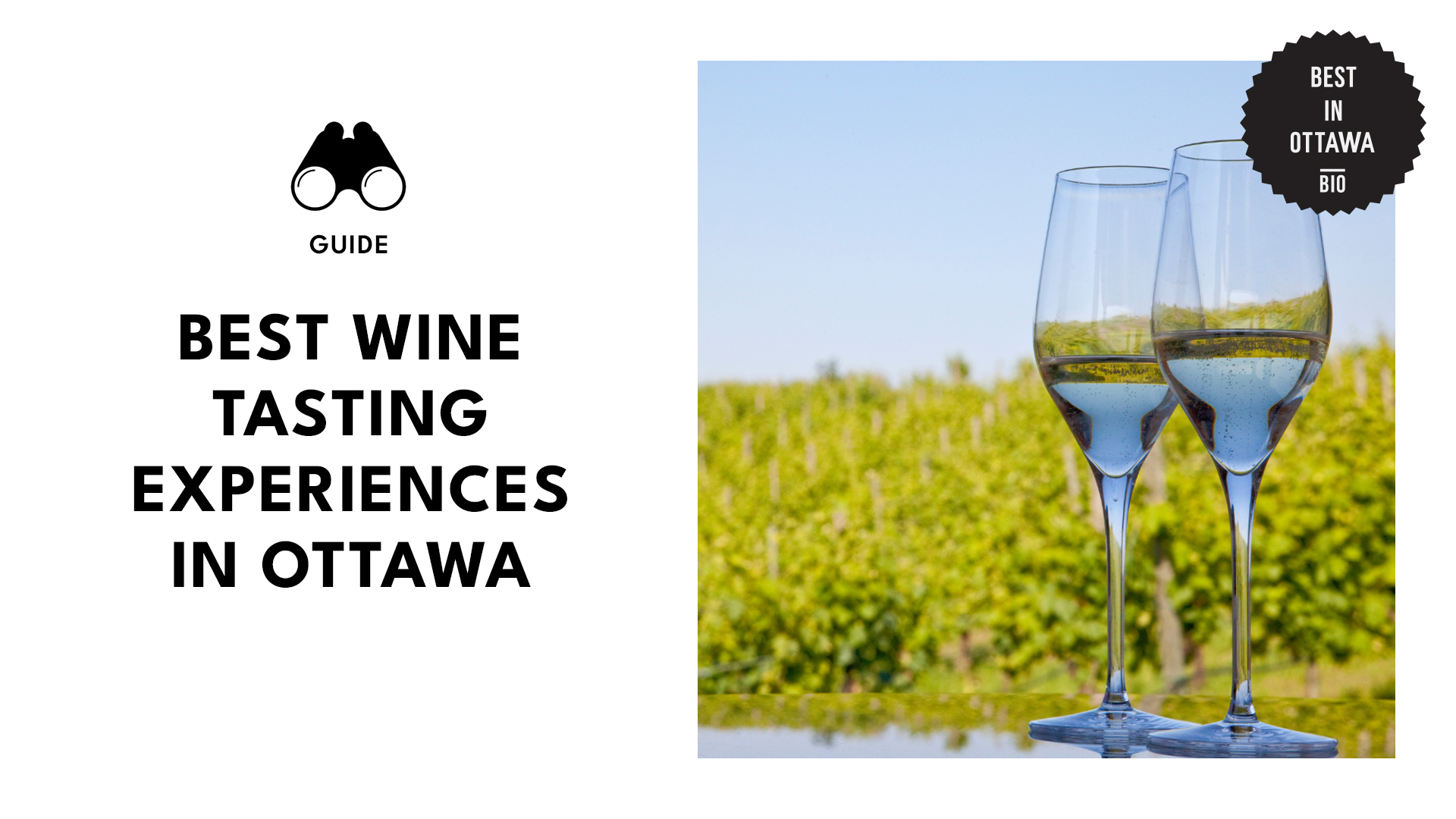 best-wine-tasting-banner