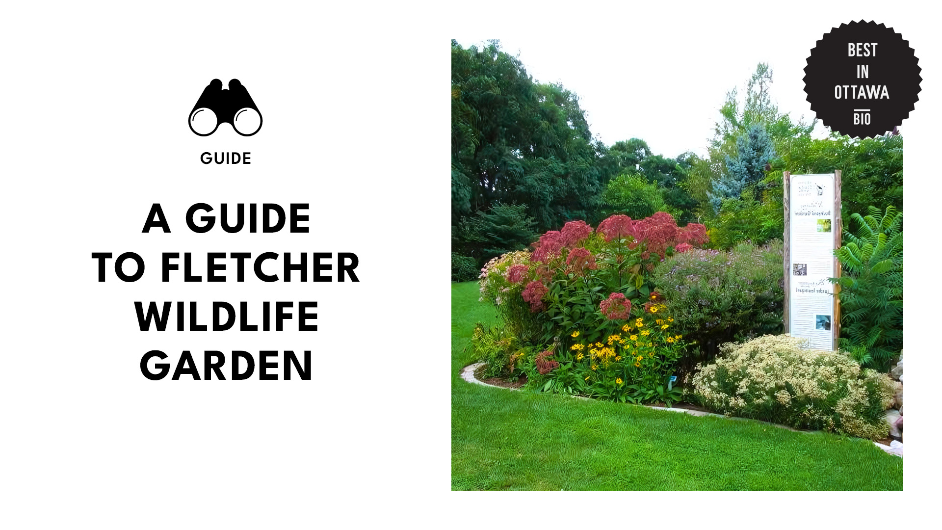 fletcher-wildlife-garden-banner