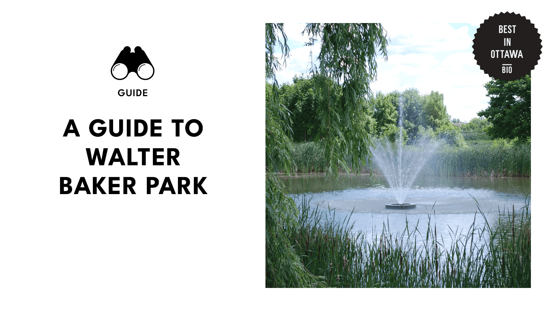 walter-baker-park-banner