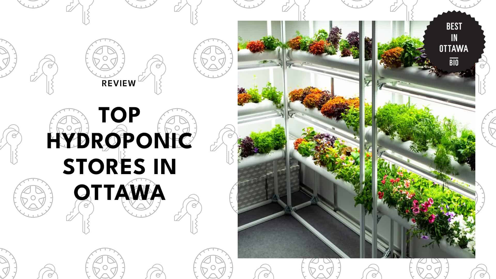 best-hydroponics-ottawa-banner