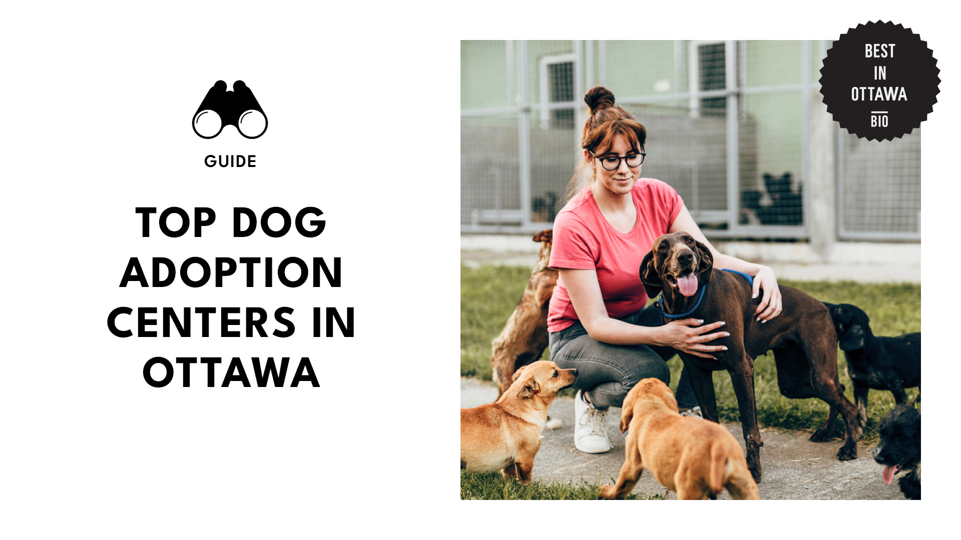 top-dog-adoption-centers-ottawa-banner