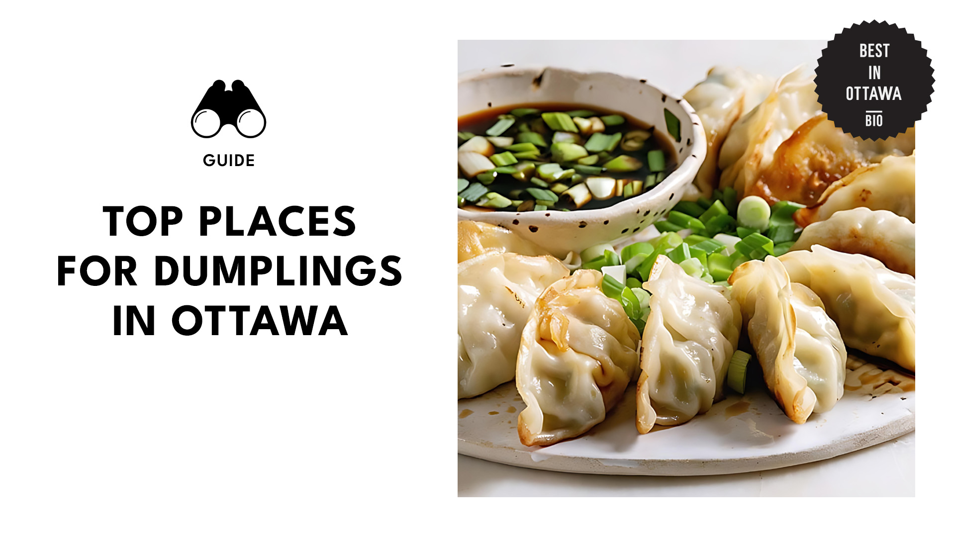 best-dumplings-ottawa-banner