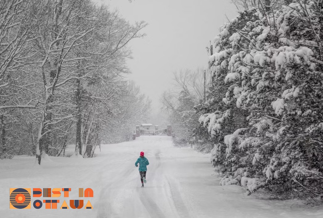 the-bricks-annual-winter-run-january-banner