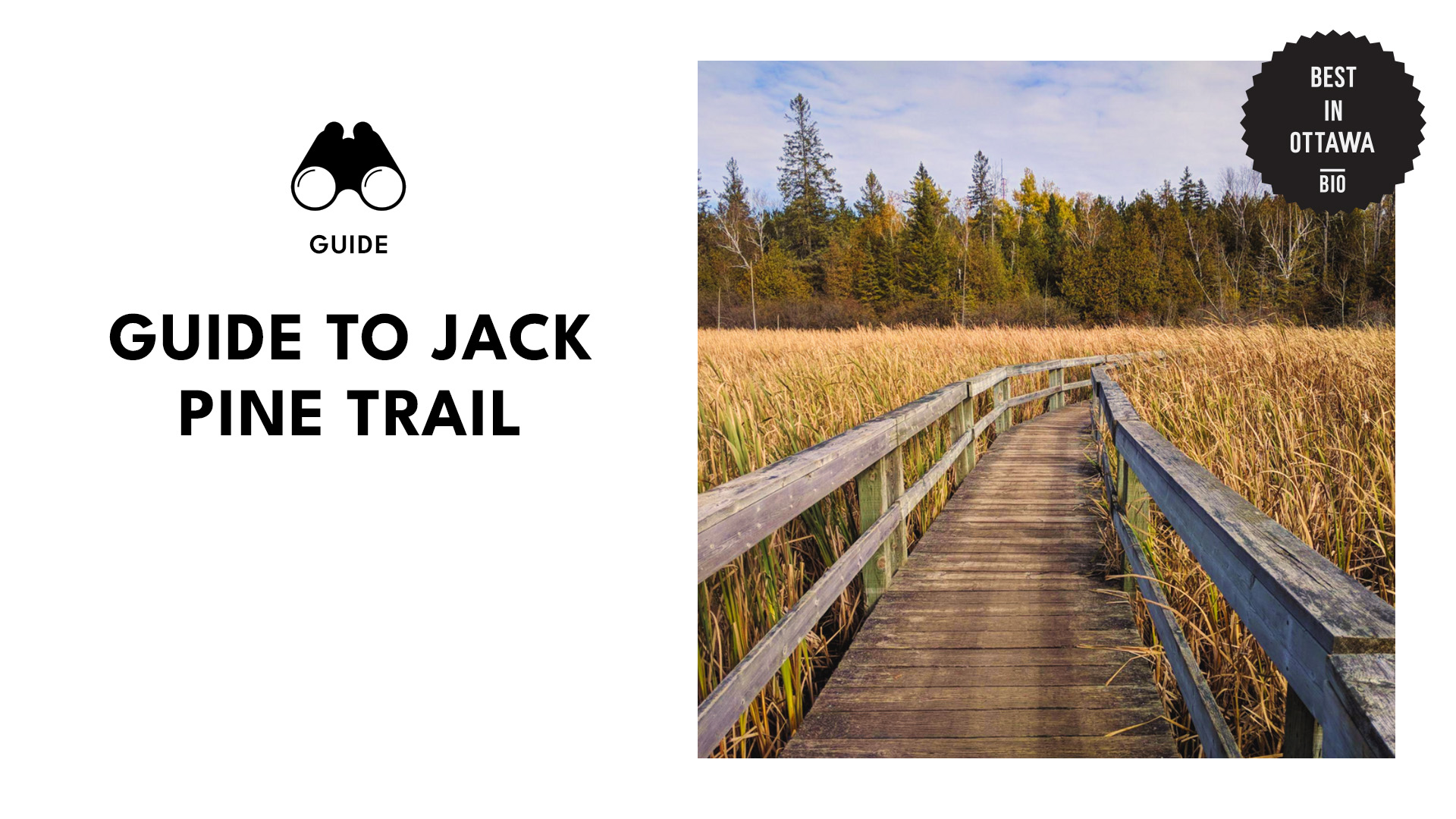 guide-to-jack-pine-trail