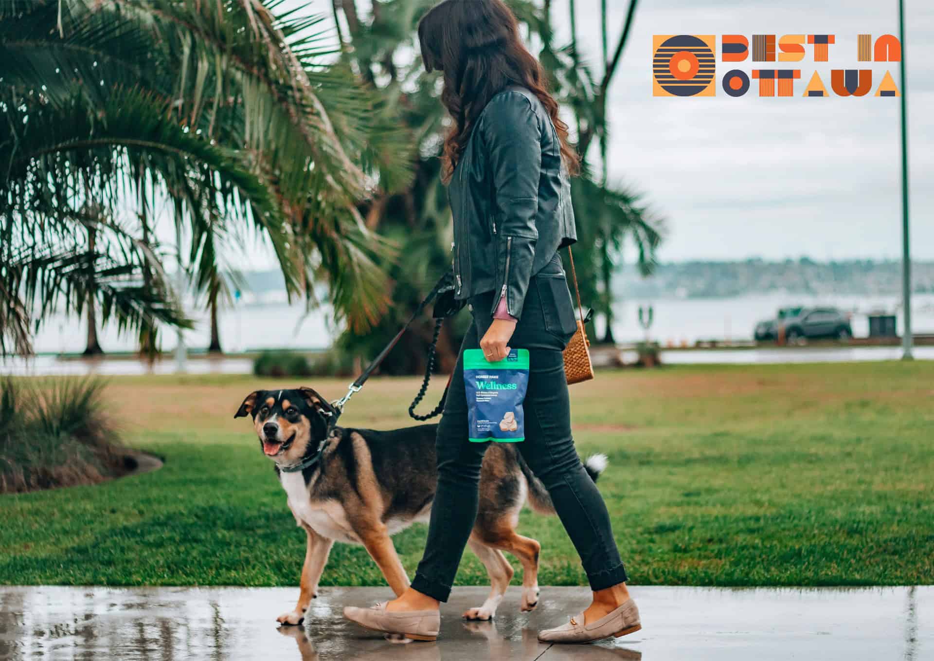 dog-friendly-breeze-market-banner