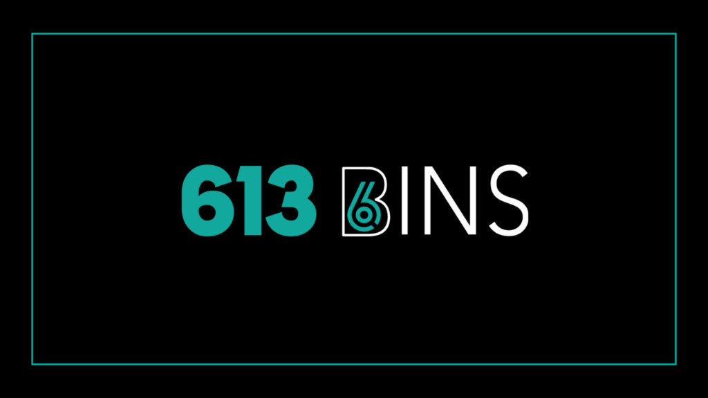 613-bins-logo