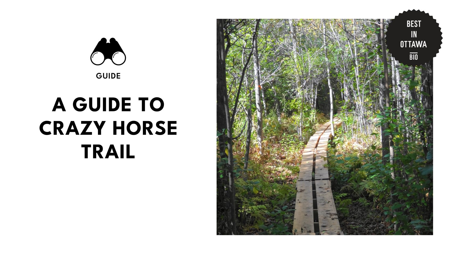 crazy-horse-trail-banner
