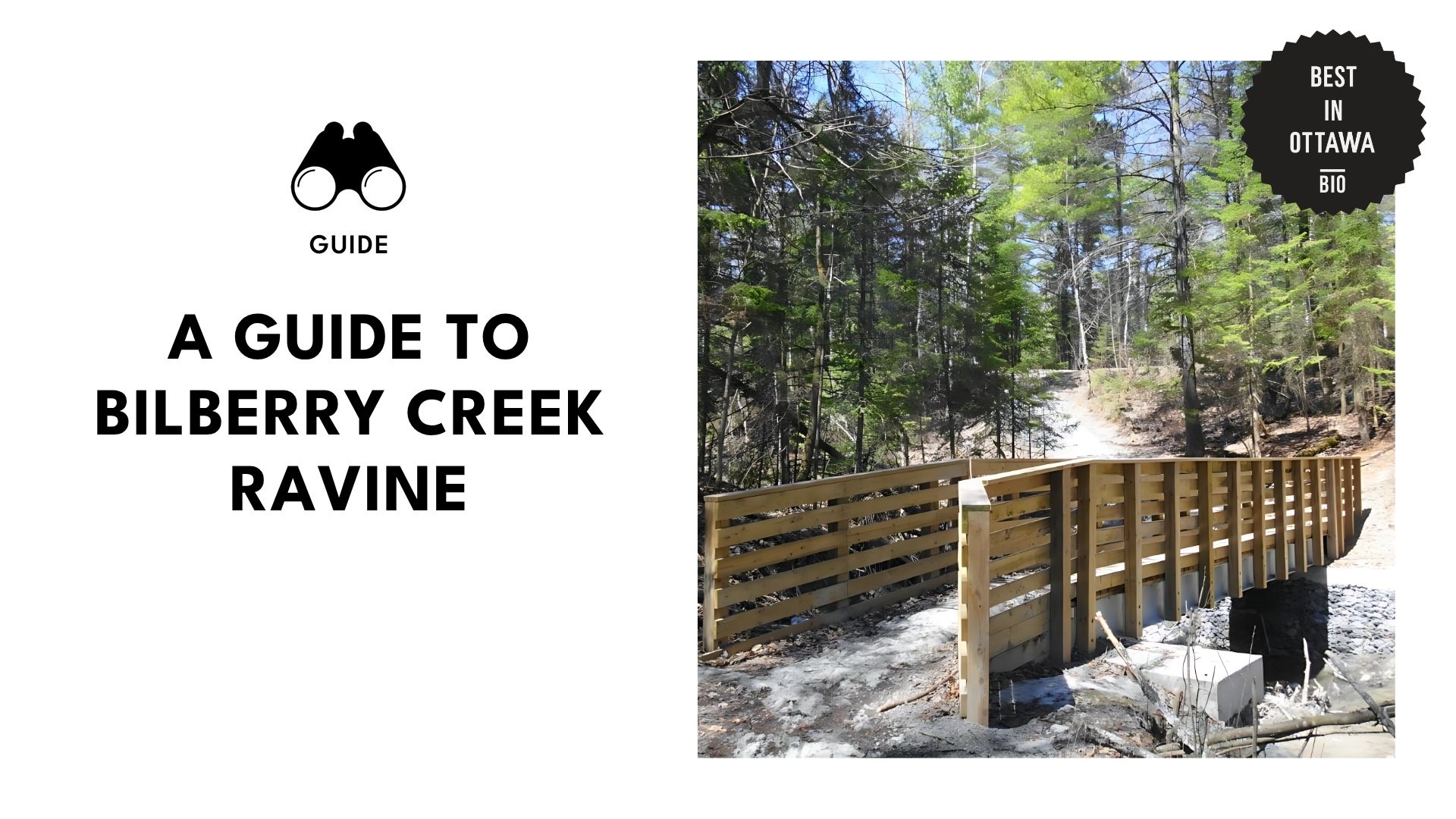 guide-to-bilberry-creek-ravine