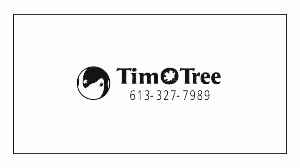 tim-o-tree