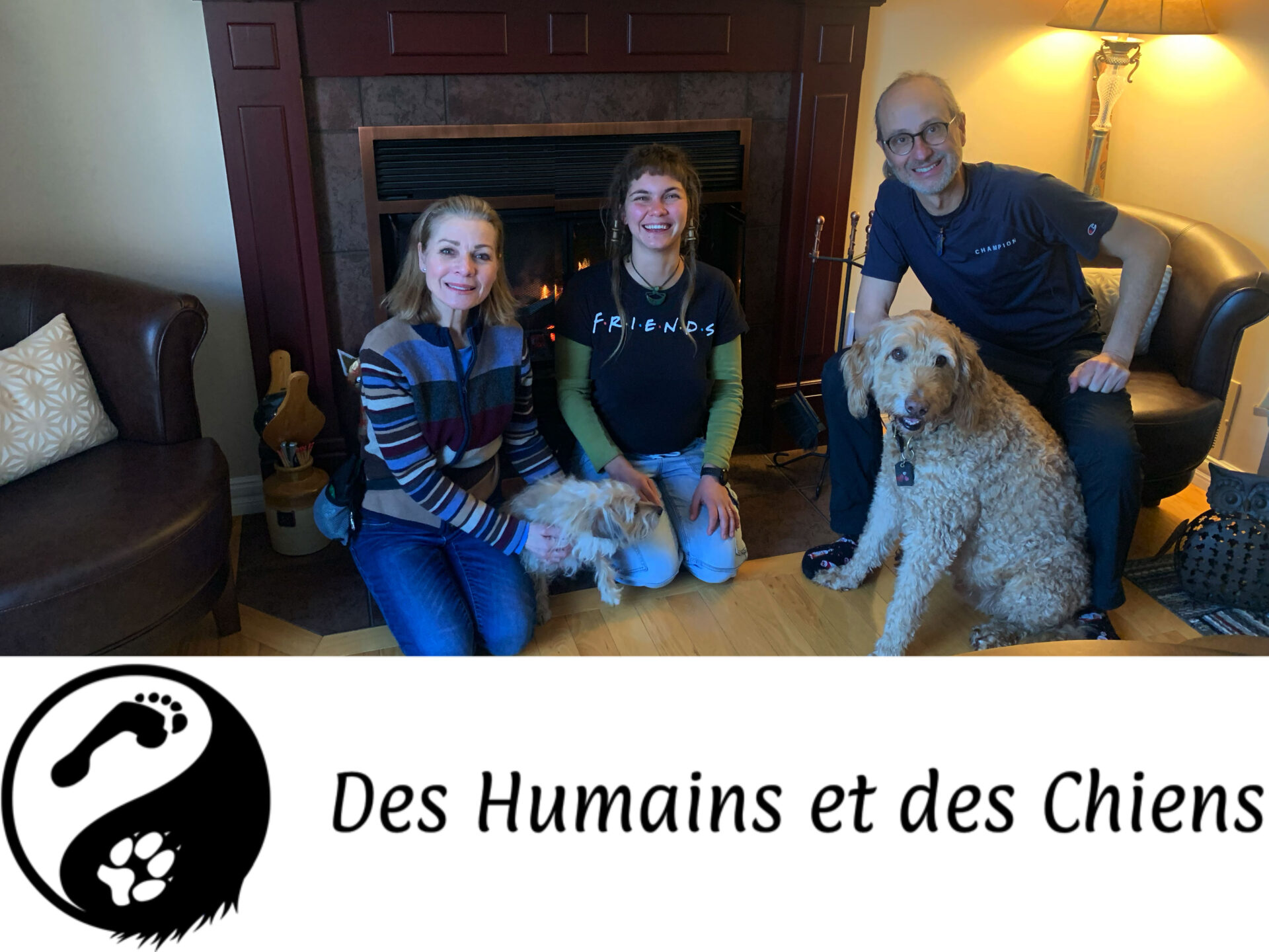 Many Humans Many Dogs